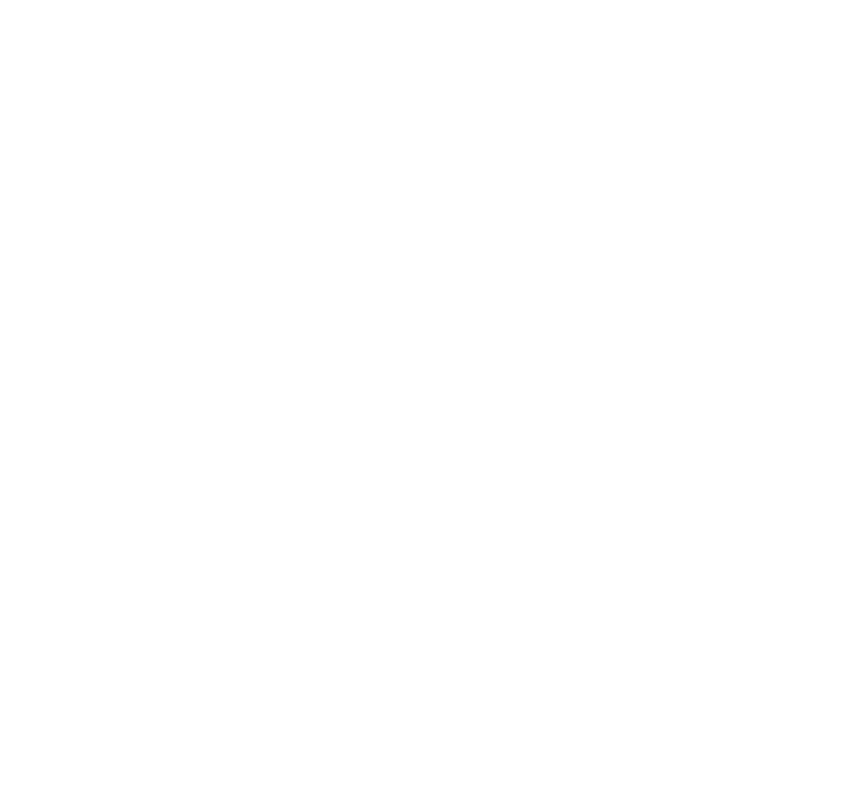 T3M Tours